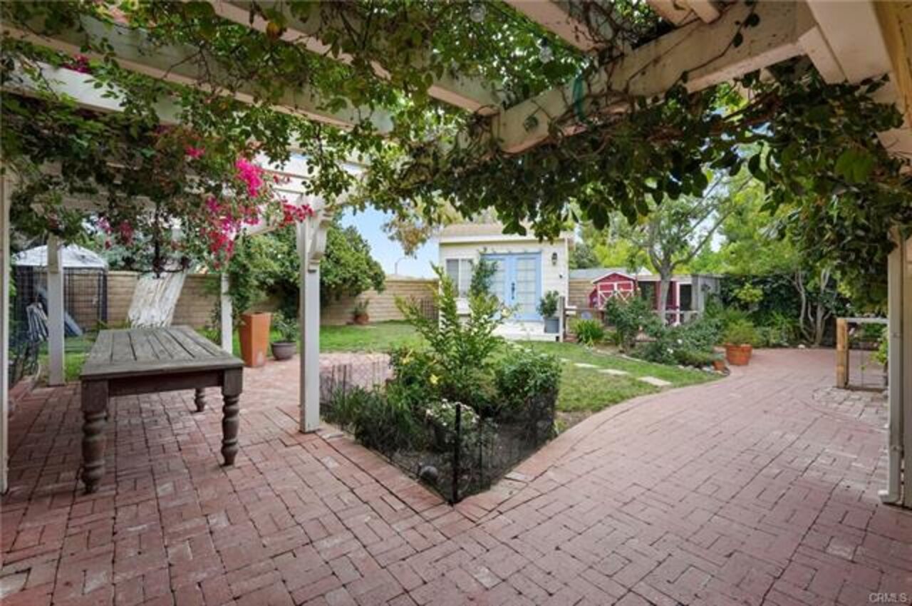 Rose pergola