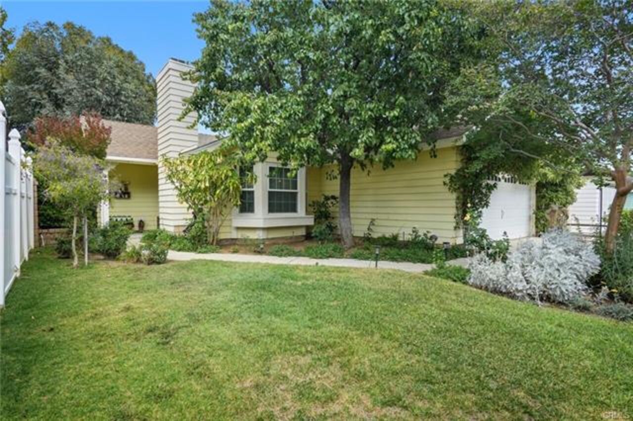 Backyard lawn